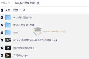 高玮AI产品经理课11期：从技术到产品的系统实战指南