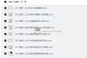 AI赋能小红书矩阵推广系统：从起号到变现的全流程实战课