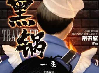 《黑锅》有声小说 常书欣“余罪”姐妹篇 喜来坞精品有声剧 931集完结[MP3]