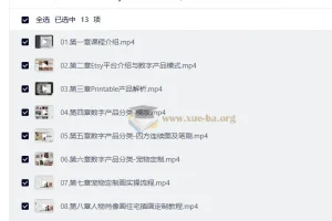 Etsy AI定制+跨境电商：从零打造高客单价数字产品店铺，新手快速上手指南
