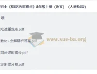 2027版初中语文《53吃透重难点》八年级上册（人教五四制）备考资料