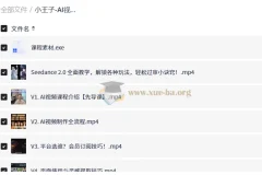 小王子AI视频从0到1系统课：全流程实战教程