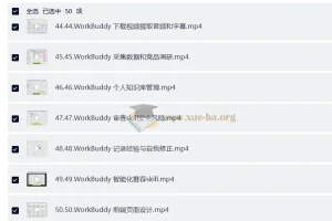 WorkBuddy AI提效实战课：Codex与OpenClaw自定义Skill全流程教程