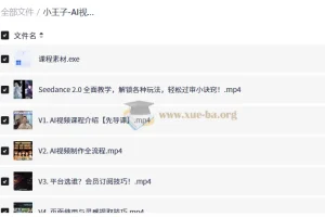 小王子AI视频从0到1系统课：全流程实战教程
