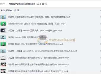 AI编程产品出海实战领航计划：从零到一全流程指南