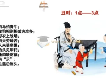 张峪宁名正言顺密训课：姓名学视频教程9节全