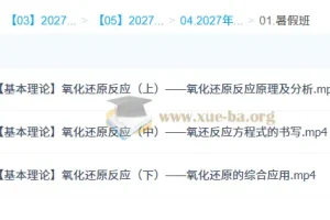 2027高三化学一轮复习 马凯鹏暑假班 氧化还原反应精讲