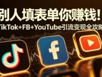 别人填表单你赚钱！TikTok+Facebook+YouTube 引流变现全攻略【原创双语字幕】