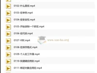 Excel VBA宏编程入门教程——刘伟带你从零掌握自动化办公