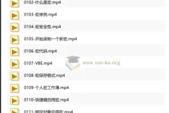 Excel VBA宏编程入门教程——刘伟带你从零掌握自动化办公