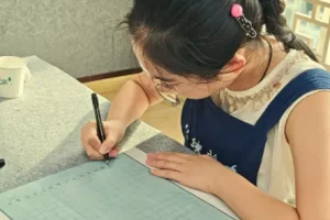 零基础书法入门课：15天掌握书写技巧，写出漂亮人生