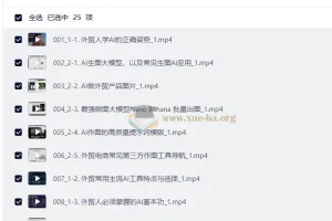 外贸AI应用实战：从入门到落地的全流程视频教程