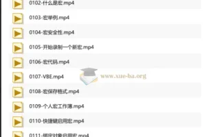 Excel VBA宏编程入门教程——刘伟带你从零掌握自动化办公