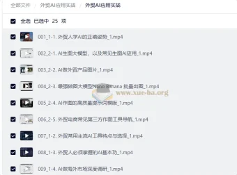 外贸AI应用实战：从入门到落地的全流程视频教程