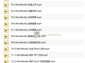 WorkBuddy职场提效应用实战：AI自动化办公全流程指南