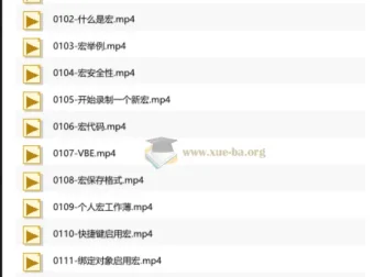 Excel VBA宏编程入门教程——刘伟带你从零掌握自动化办公