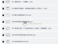 陆总监深度面试辅导：简历优化与项目亮点包装实战课