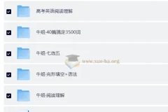 牛姐高中英语全题型提分课程合集：语法填空+阅读理解+完形填空+七选五