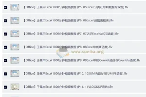 王佩丰Excel视频教程：1800分钟系统掌握Excel核心技能