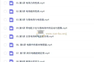 2027高中高二物理 跳跳 暑假班 电场磁场与电路核心提升