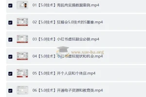AI实操小红书虚拟赚钱项目，从开店到爆单全流程拆解