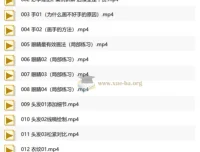 手绘入门到精通100集教程，从零基础到绘画大触的完整进阶之路