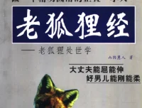 老狐狸经：职场生存智慧完整解读