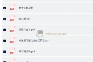 2027 优练•高分突破 中考物理广东专版（9年级全一册）备考全套