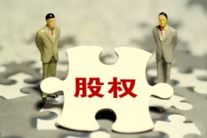 宋俊生股权法律风险与常识：创业老板必学的公司股权实战课