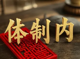 体制内生存教科书：破解单位潜规则的实战指南