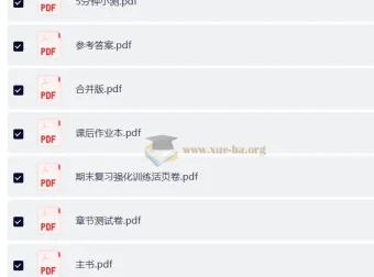 2027 优练•高分突破 中考物理广东专版（9年级全一册）备考全套