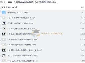 2026一人公司Codex智能体实战课：从AI工作流到商业自动化落地