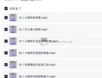 微信小程序开发从入门到实战：91节完整视频教程