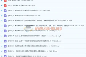 瓯海春手机剪映全攻略：从拍摄到剪辑的实战进阶课程
