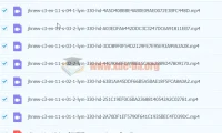 中考英语从句全解析 高分冲刺必备课程