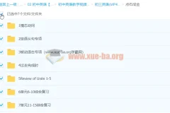初三英语点石成金：语法专项突破与单元综合复习
