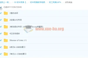 初三英语点石成金：语法专项突破与单元综合复习