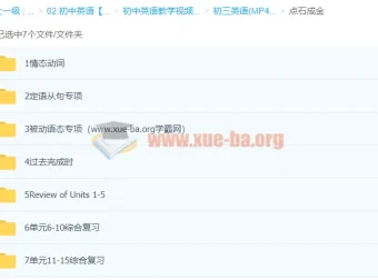 初三英语点石成金：语法专项突破与单元综合复习