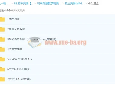 初三英语点石成金：语法专项突破与单元综合复习