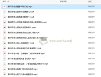 宋大大影摄实战教学：30节课带你从摄影小白到随手出大片