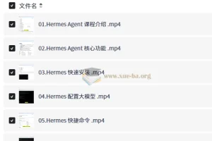 Hermes Agent智能体全维度实战课程：从入门到企业级应用