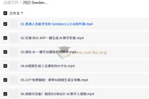 鸿启Seedance2.0超级个体训练营：AI视频创作全流程实战指南