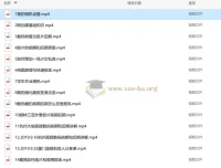 森小艺人像摄影全流程实战教学