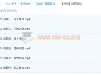 谜题游戏全六集完结版 烧脑解谜挑战合集