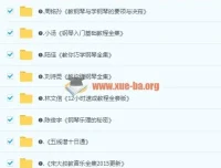 0基础自学钢琴必备教程合集，从入门到高级全方位覆盖电子琴键盘教学