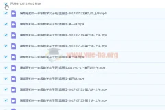温丽佳 2017暑 初一数学暑假尖子班 10讲完结