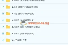0基础自学钢琴必备教程合集，从入门到高级全方位覆盖电子琴键盘教学