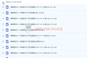 温丽佳 2017暑 初一数学暑假尖子班 10讲完结