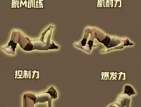 男性锻炼指南：科学健身与体能提升实用手册