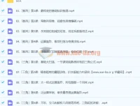 2024高三高考数学 大题狂飙营2.0 树成林